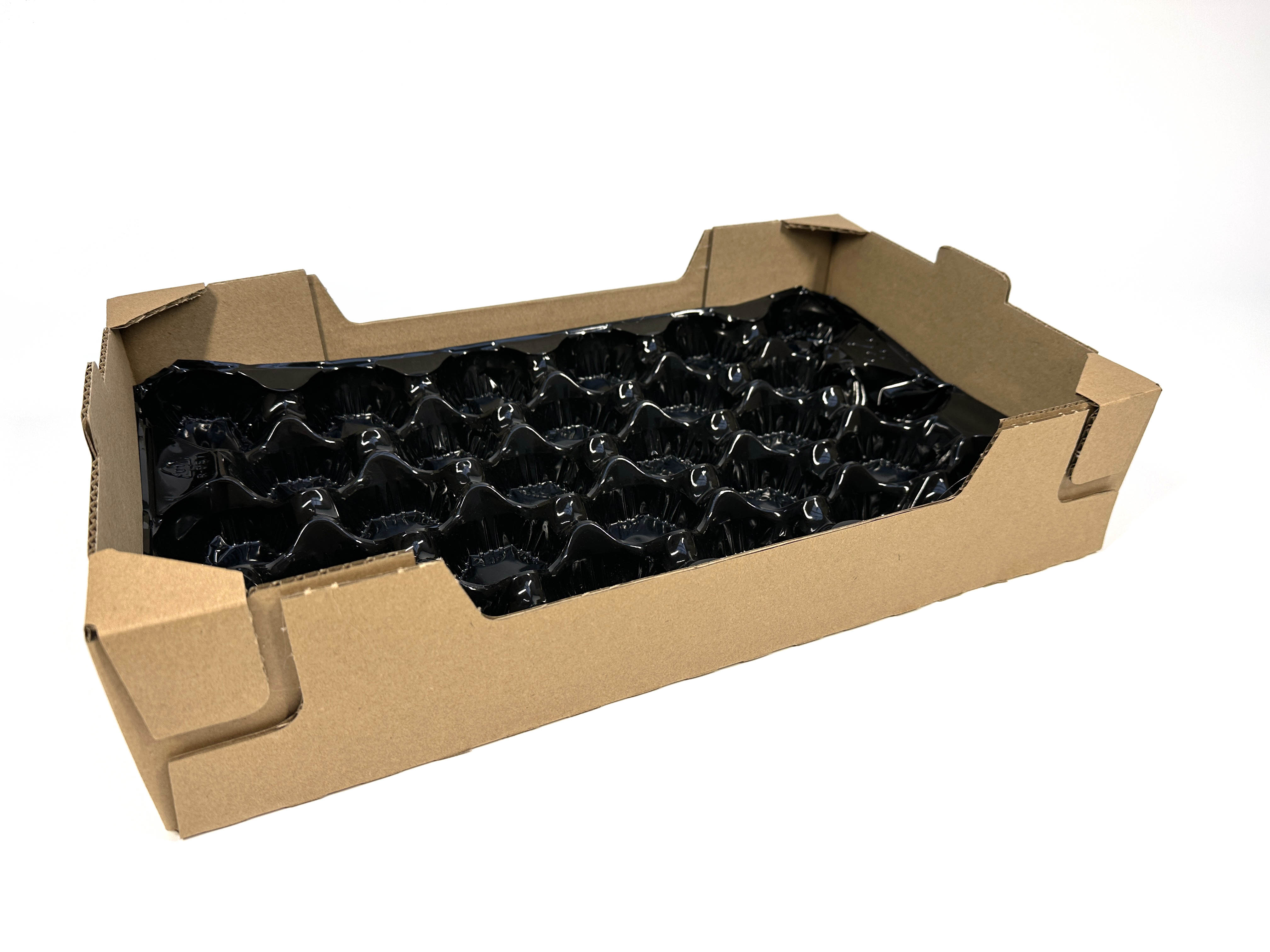 Image : Alveoles et traypacks