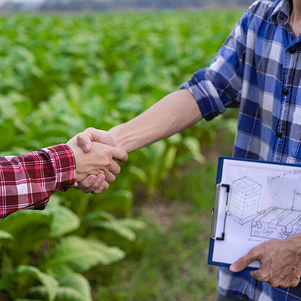 Pourquoi nous choisir ?